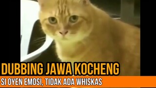 EMOSI GEGARA TIDAK ADA WHISKAS | DUBBING JAWA KUCING