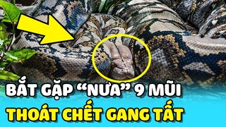 💥Vô tình nhìn thấy "CON NƯA", người đàn ông may mắn thoát khỏi TAI HỌA   | TIN GIẢI TRÍ