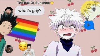 wHaT's GaY? || hunter x hunter texts