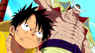 Sangat Epic! Momen Shirohige Mengakui Luffy!!