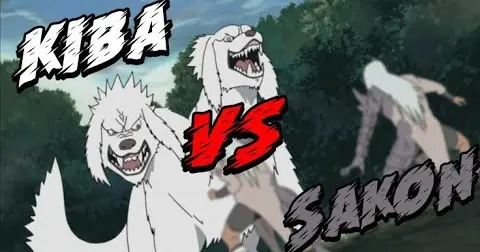 kiba vs sakon