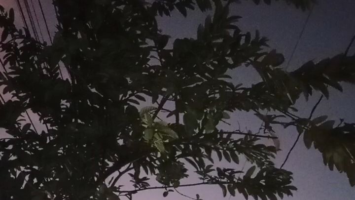 morning person