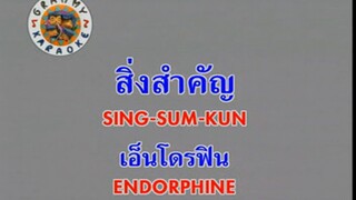 สิ่งสำคัญ (Sing Sum Kun) - เอ็นโดรฟิน (Endorphine)