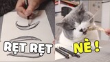 Nhà bạn có nuôi một con sen biết vẽ thì sẽ như thế nào 😁 | Pets TV