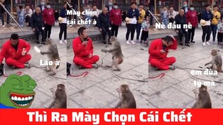 Những đứa con thất lạc của thần biển #38 / Thì Ra Mày Chọn Cái Chết 😂😂😂