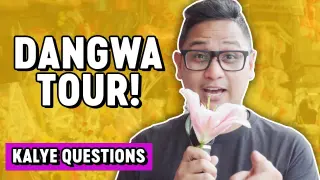 Flower Buying Guide In Dangwa Manila | PGAG
