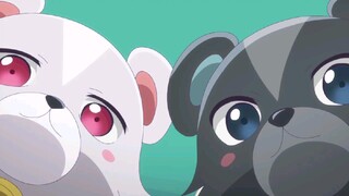 kuma-kuma bear S2 episode 1