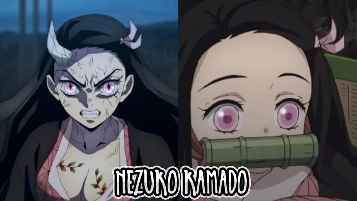 Half Demon Half Human Nezuko Kamado Demon Slayer