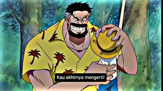 Luffy Frank sang kakek