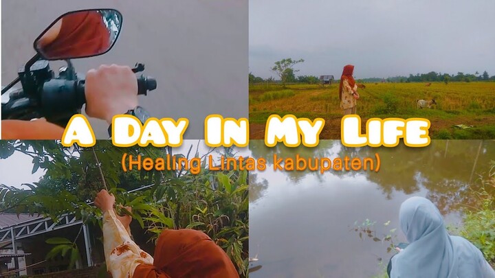 A day in my life✨ Healing di Kampung Teman|NAH Channel