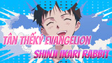 Tân ThếKỷ Evangelion 
Shinji Ikari Rabbit