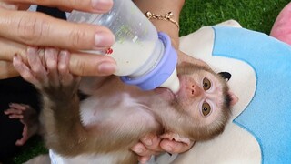 Adorable Baby Very Hungry Drinking Milk Very Fast