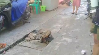 spar lng muna