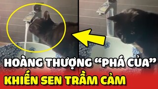 Cô Sen TRẦM CẢM vì cách uống nước "PHÁ CỦA" của Hoàng Thượng nhà mình 😂 | Yêu Lu