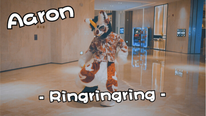 【小龙跳舞！Ringringring起来】Fursuit dancing 看来大家对兽装跳舞更感兴趣呀www