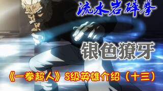 Introduction to S-class heroes in One Punch Man (Thirteen) Silver Fang Bang, the master of "Water an