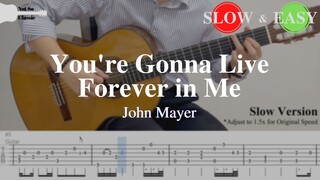 You're Gonna Live Forever in Me - John Mayer | Fingerstyle Guitar TAB (Slow & Easy)