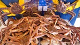 “갓 잡은 거대한 킹크랩, 대게, 랍스터” 깔끔하게 손질하는 대게집, 수산시장 맛집 Giant King Crab Seafood, korean street food
