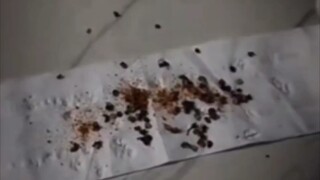 Hidup ini singkat, mengapa terburu-buru?