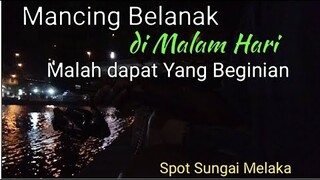 Mancing BELANAK di Malam Hari Malah dapat ikan Beginian || Mancing Mania - Blands Hidayat