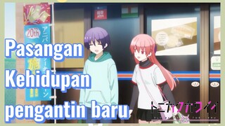 Pasangan Kehidupan pengantin baru