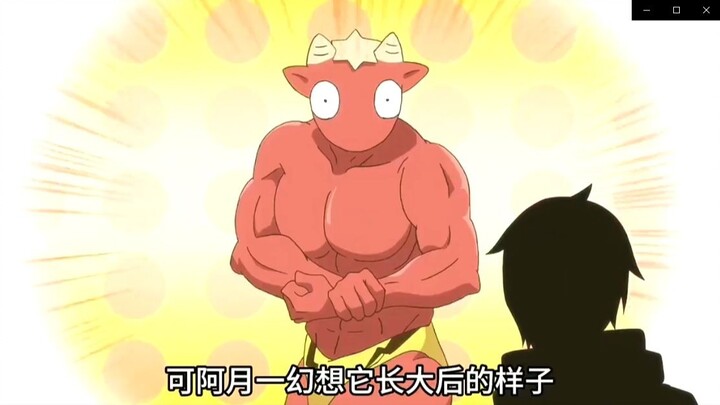 谁能拒绝一只八块腹肌的牛战士呢