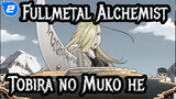 Fullmetal Alchemist AMV_2