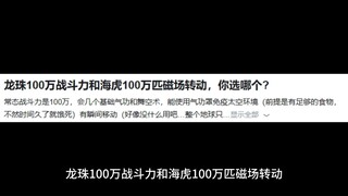 龙珠100万战斗力和海虎100万匹磁场转动，你选哪个?