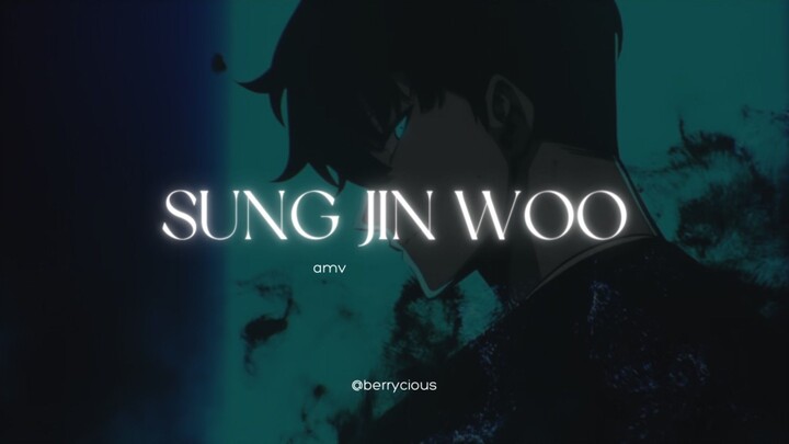 SUNG JINWOO TO THE TOP! || AMV