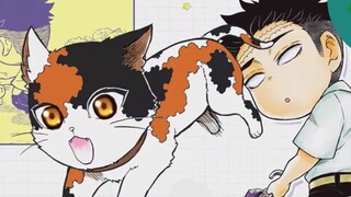 Demon Slayer Academy 29 Come and help cats find their owners!