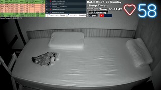 Sleep Stream 4.05.2025