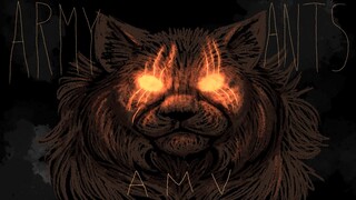ARMY ANTS - WARRIORS AMV