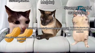 cute cat story