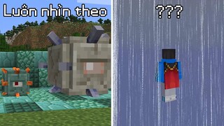 10 Điều KÌ LẠ Trong Minecraft Có Thể Các Bạn Chưa Hề Biết Đến