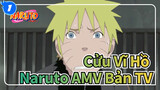 [Cửu Vĩ Hồ Naruto] Bản TV 8 Các cảnh phim_1