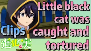 Clips |Little black cat was caught and tortured