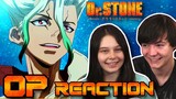 Dr. Stone Openings & Endings REACTION! (Dr OPs and EDs Reaction/Review)