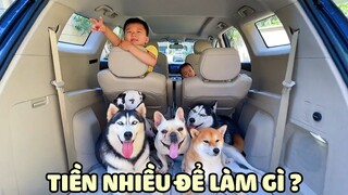 Sao Kê Tiền Tỉ Để Mua Biệt Thự, Siêu Xe Chở Thú Cưng Đi Chơi 😂 | Yêu Lu