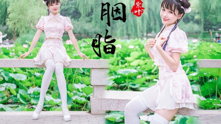 Teratai kecil yang penuh kasih sayang ❀ sedikit warna merah [daun ungu]