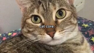 Cat core