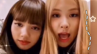 [CHAELISA] ลิซ่าชอบที่จะจุ๊บ ๆ โรเซ่ตลอดเวลาเลยจริง ๆ