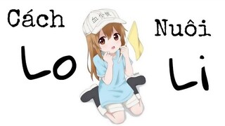 Gọn #5: Cách bạn thực sự nuôi Loli