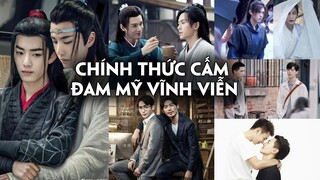 Trung Quốc chính thức cấm đam mỹ vĩnh viễn,"Hạo Y hành" và loạt bom tấn khác có nguy cơ lỗ trăm tỷ