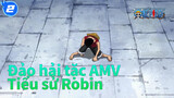 [Đảo hải tặc AMV]Tiểu sử Robin_2