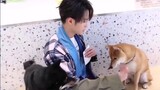 Vlog dog cafe store, sisters who are afraid of snakes should be careful