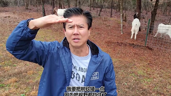 Van Darkholme 制作圣诞树，准备过圣诞节