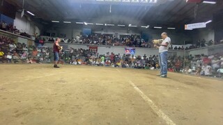 One of two wins—all Basagulero doms—at Pasay Cockpit 4-stag off-color derby 10/19/23