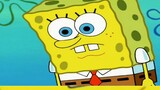 Spongebob พยายามอย่างเต็มที่เพื่อทำให้แพทริคหัวเราะ แต่แพทริคมองเขาด้วยความรังเกียจ