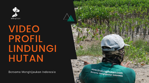 Profil LindungiHutan: Startup Galang Dana & Donasi untuk Konservasi Hutan dar