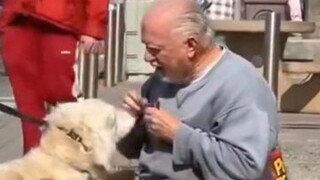 Human Comedy Pt.20 Retirement Plan: Feed the passing dogs randomly ☺